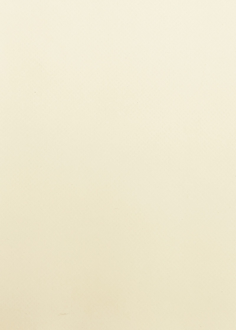 champagne liscio colore tessuto